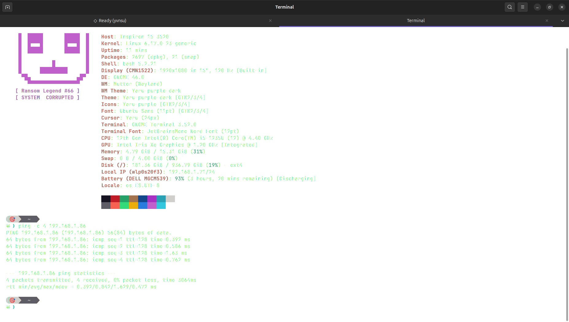 Ping al servidor desde Linux